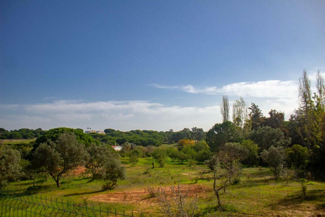 Villa Yvonne,Private Pool,Private Parking 1,7 Km From The Beatch Albufeira Exteriör bild